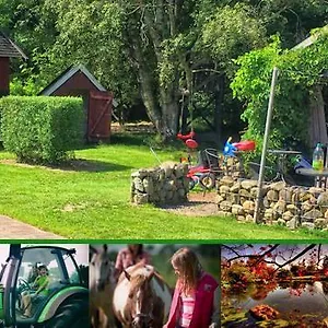 Farm stay Stutteri Skandihest Billund